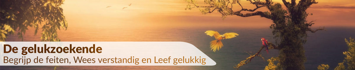 De gelukzoekende